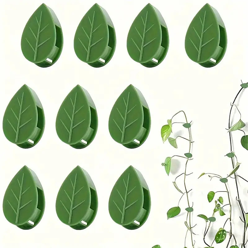 Trailing Vine Wall Clips