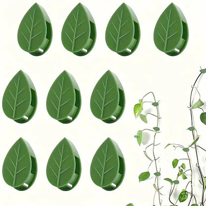 Trailing Vine Wall Clips