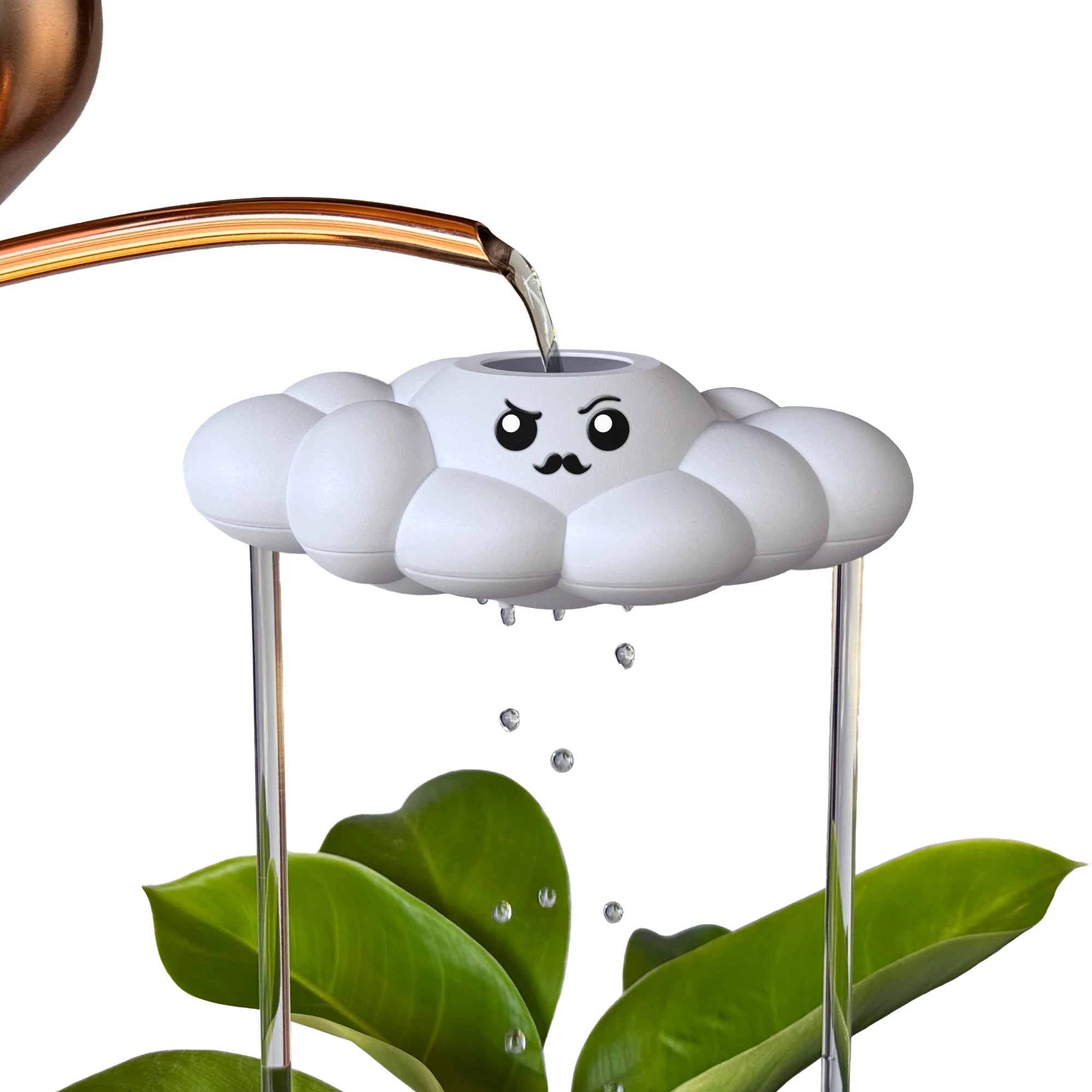 Carl the Dripping Rain Cloud