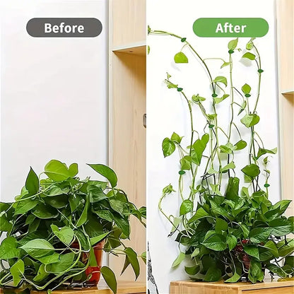 Trailing Vine Wall Clips