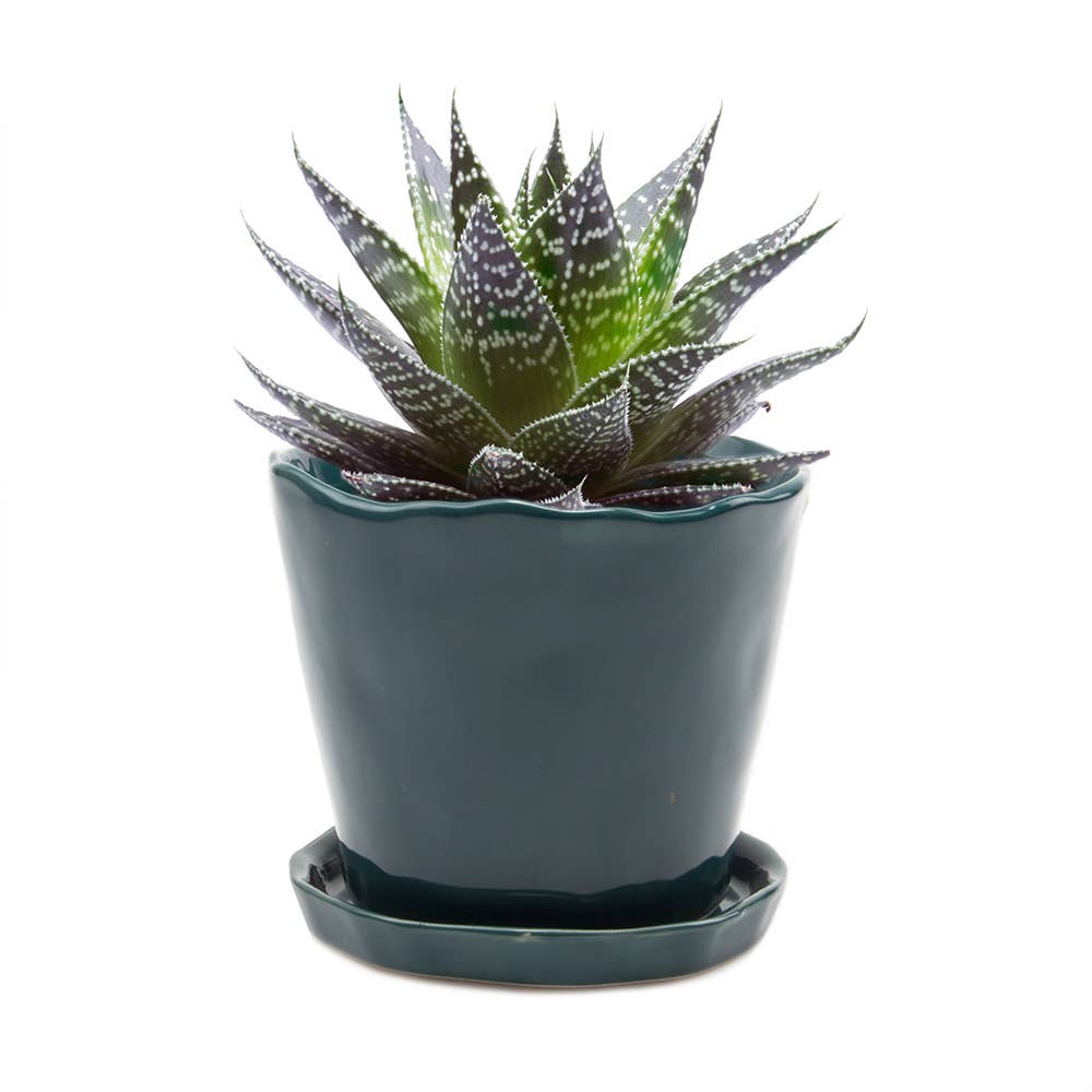 Tika 8&quot; Pot &amp; Saucer