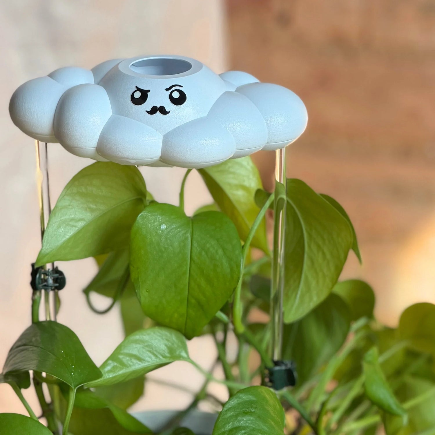 Carl the Dripping Rain Cloud