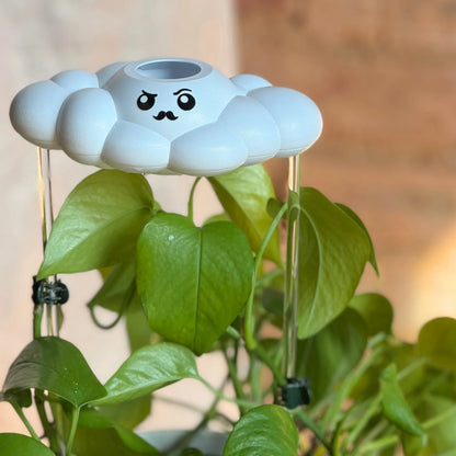 Carl the Dripping Rain Cloud