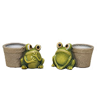 Funny Frog with Pot
