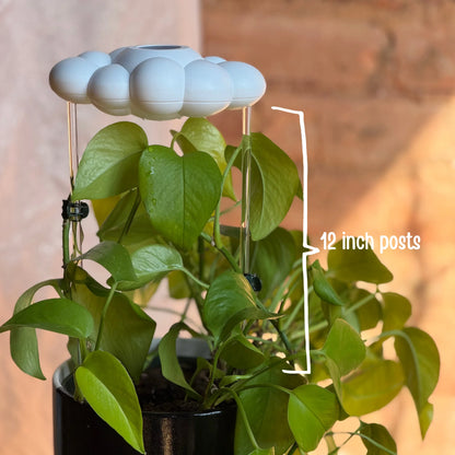 Carl the Dripping Rain Cloud