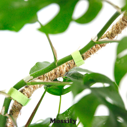 The Original Bendable Coir Pole™