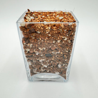 The Gay Ole Dirt Bag Chunky Blend