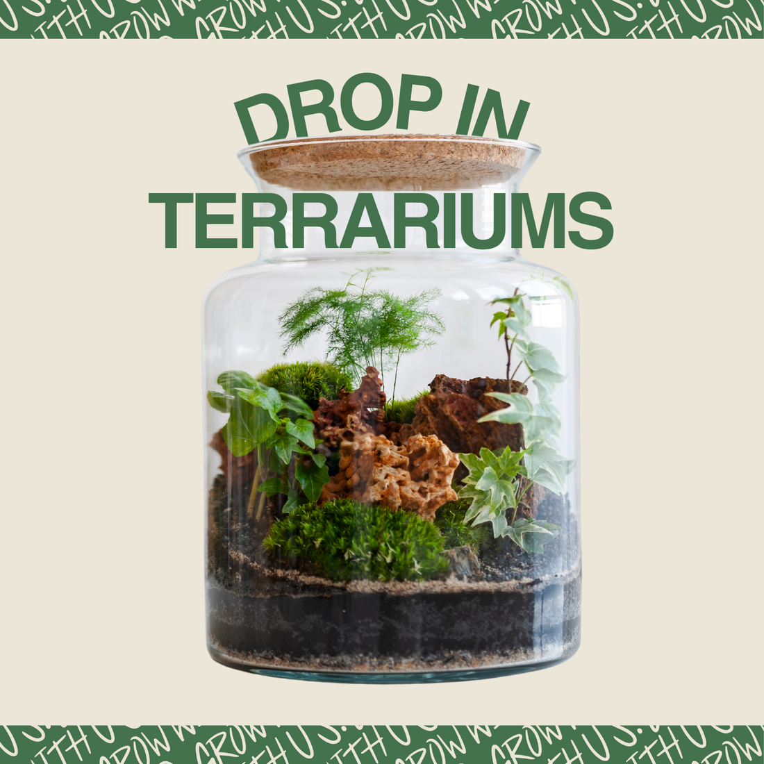 Drop-in Terrarium