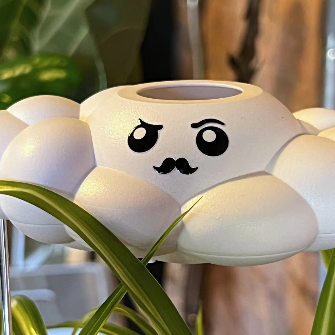 Carl the Dripping Rain Cloud