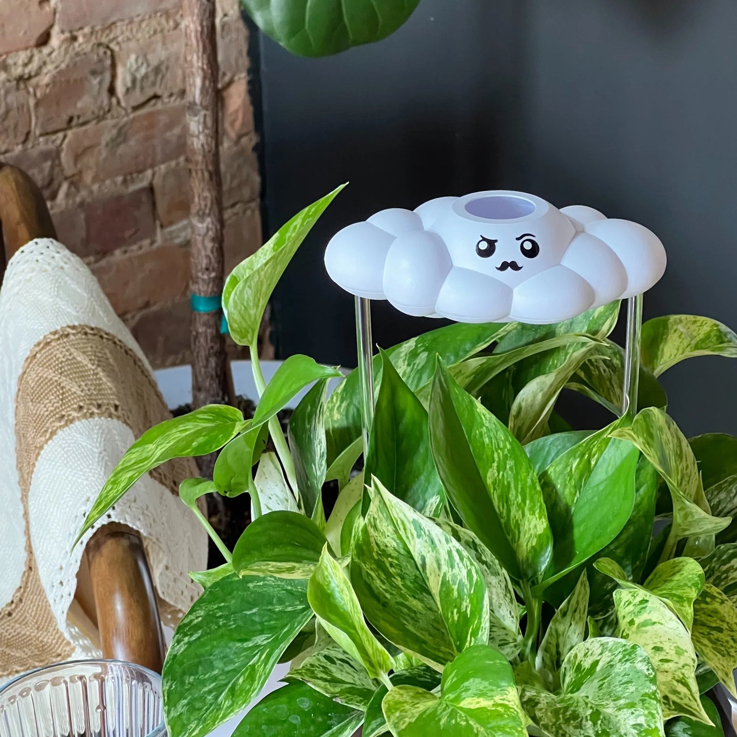 Carl the Dripping Rain Cloud