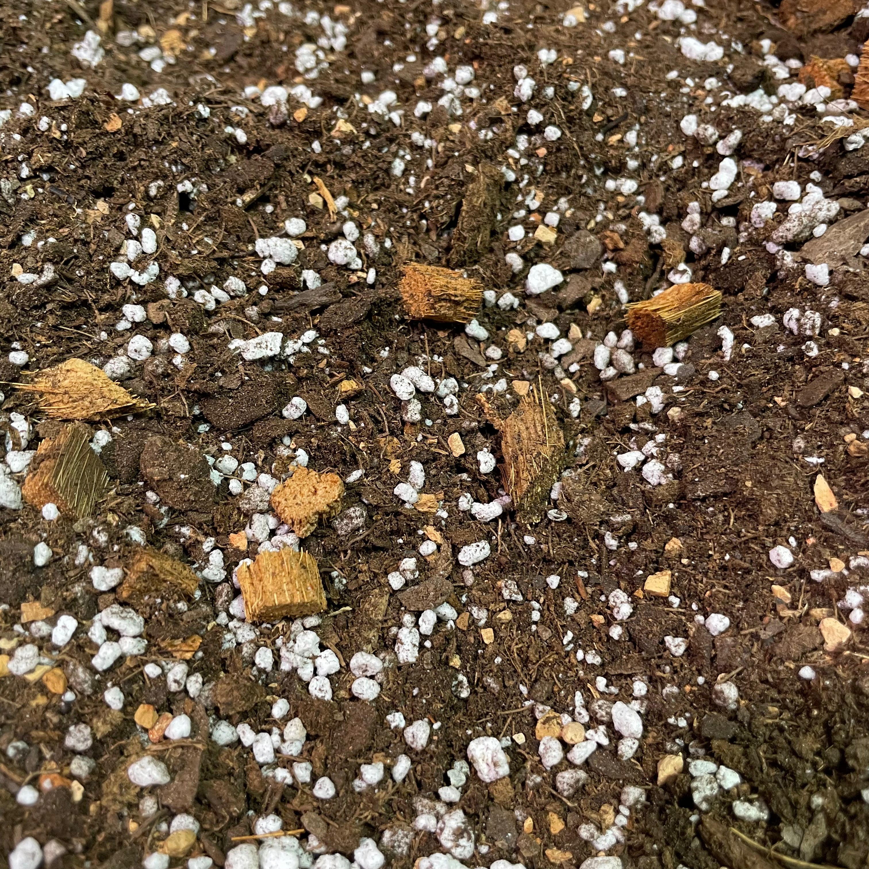 The Gay Ole Plant Shop™ Dirtier Bag Soil Blend