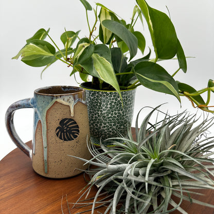 The Gay Ole Pride Mugs