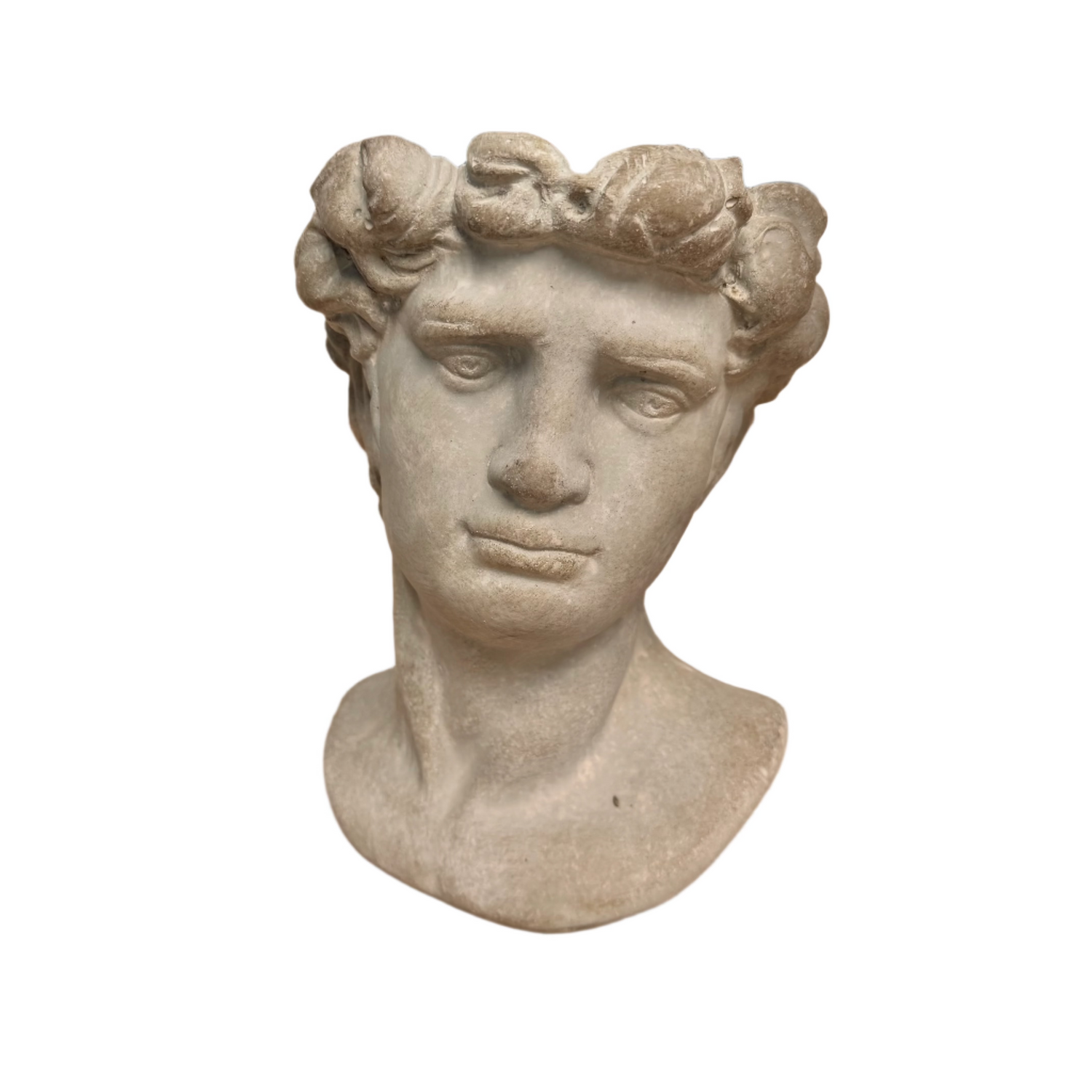 Cement Adonis Head Planter