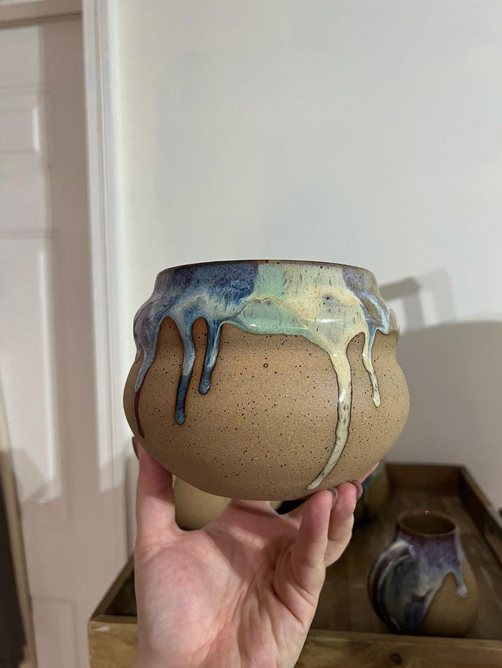 The Gay Ole Pride Planter