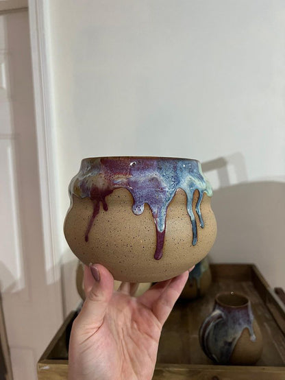 The Gay Ole Pride Planter