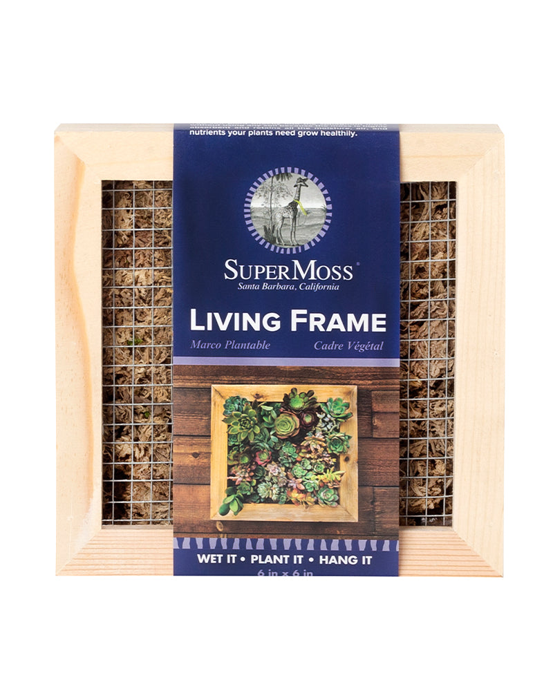 Living Frame
