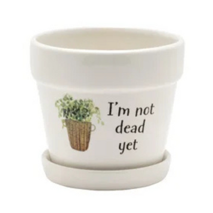 Witty Tapered Pot