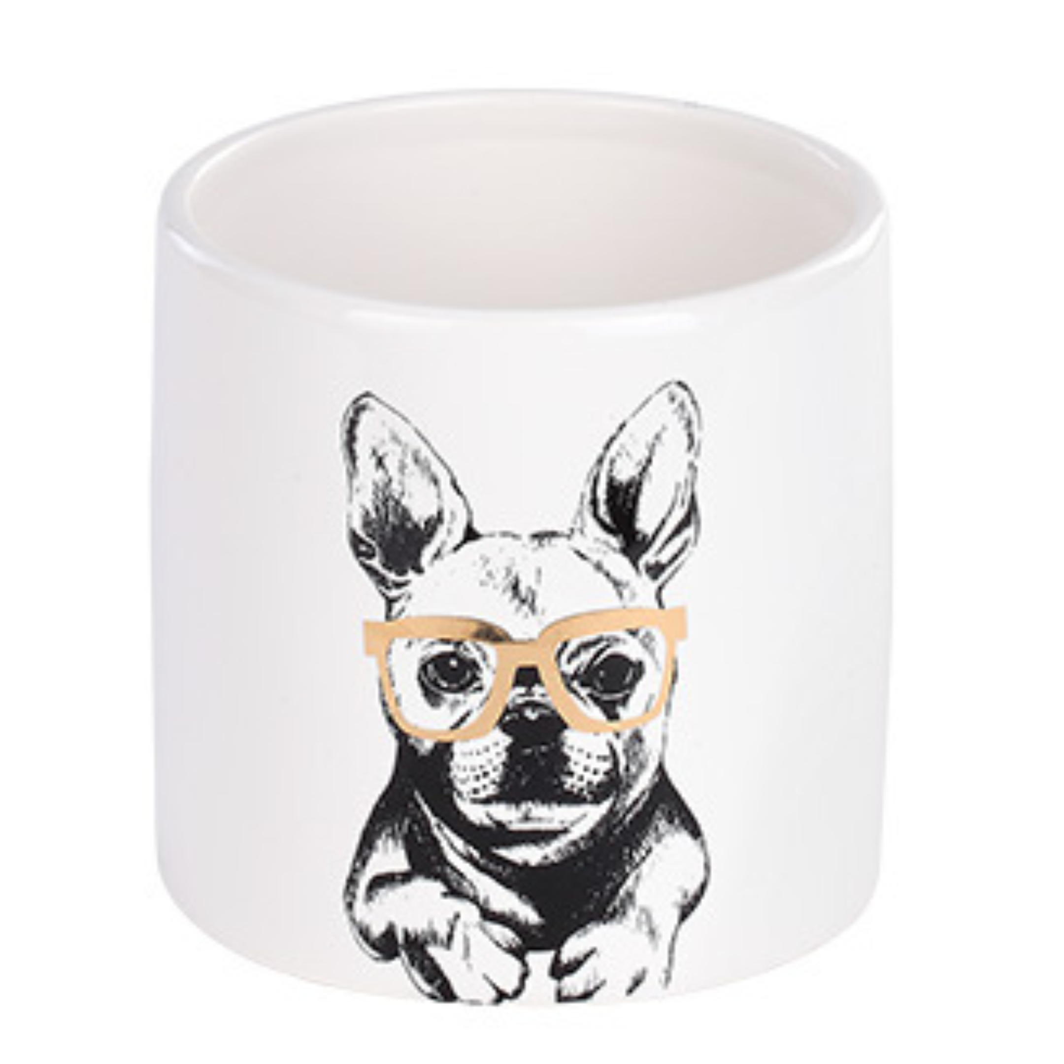 Cool Dogs Planter