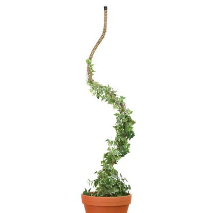The Original Bendable Coir Pole™