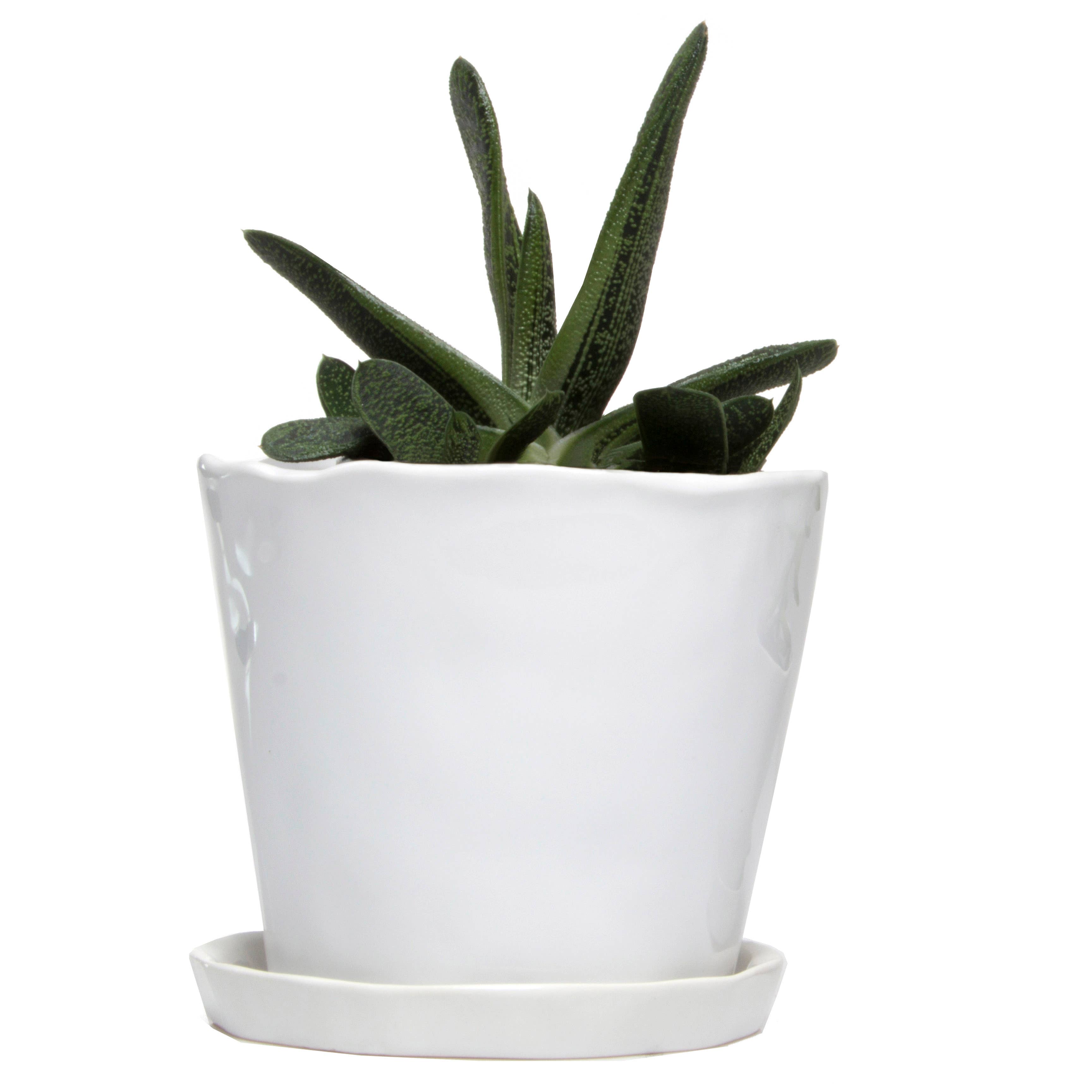Tika 8&quot; Pot &amp; Saucer