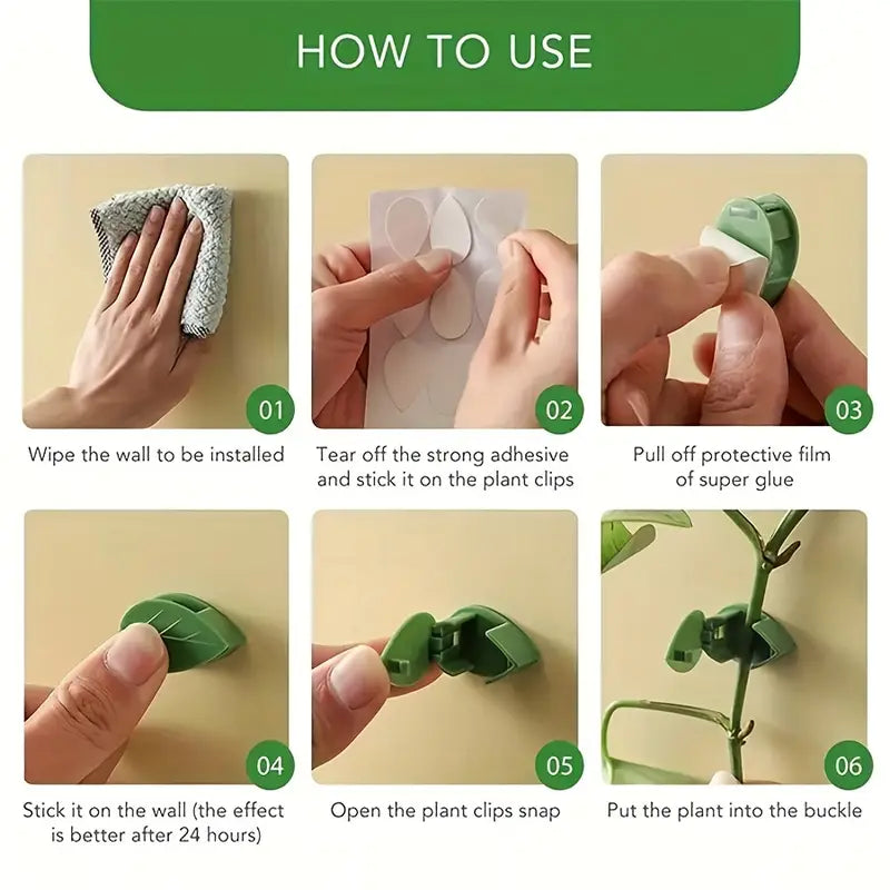 Trailing Vine Wall Clips