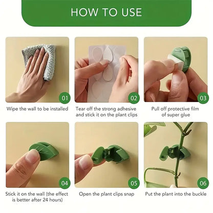 Trailing Vine Wall Clips