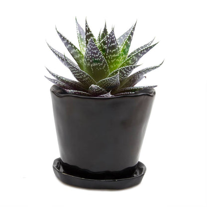 Tika 8&quot; Pot &amp; Saucer