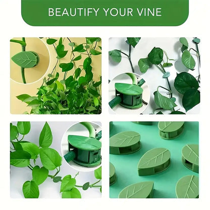 Trailing Vine Wall Clips