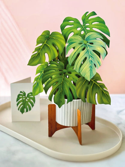 Pop-up Greeting Card