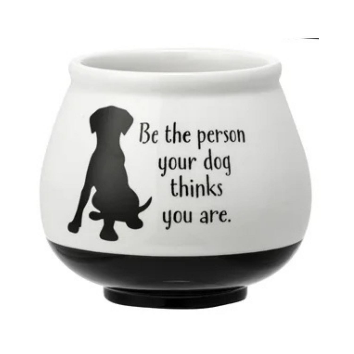 Witty Animal Black &amp; White Planter