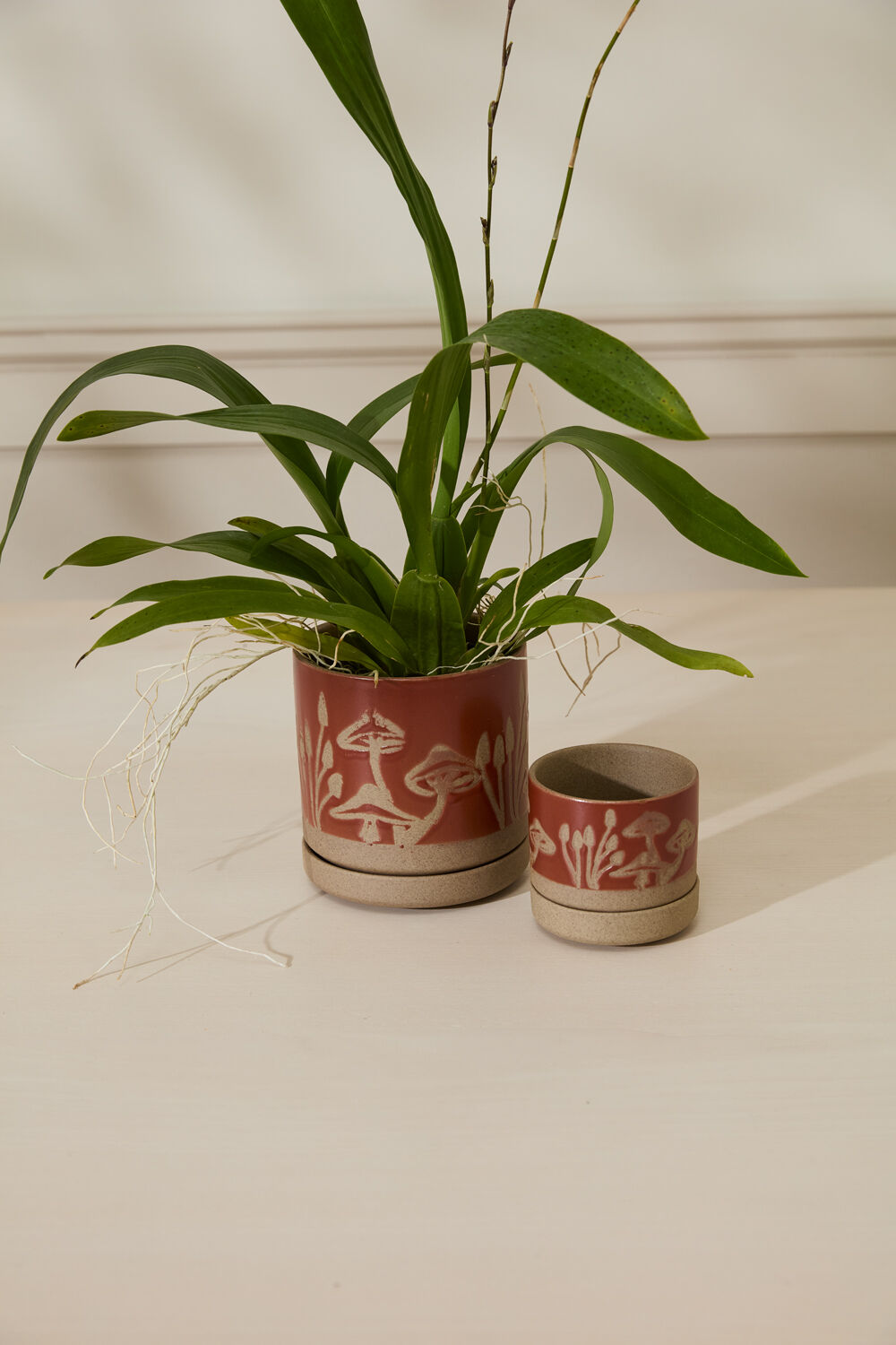 Scavenger Pot with Saucer