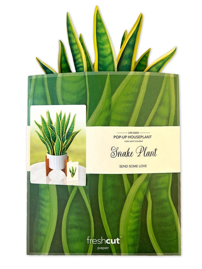 Pop-up Greeting Card