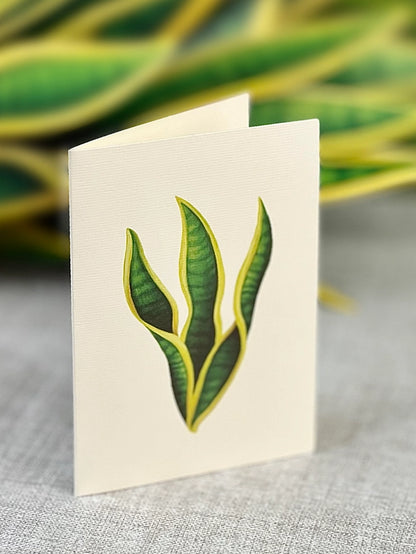 Pop-up Greeting Card