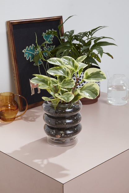 Stacked Rings Glass Pot