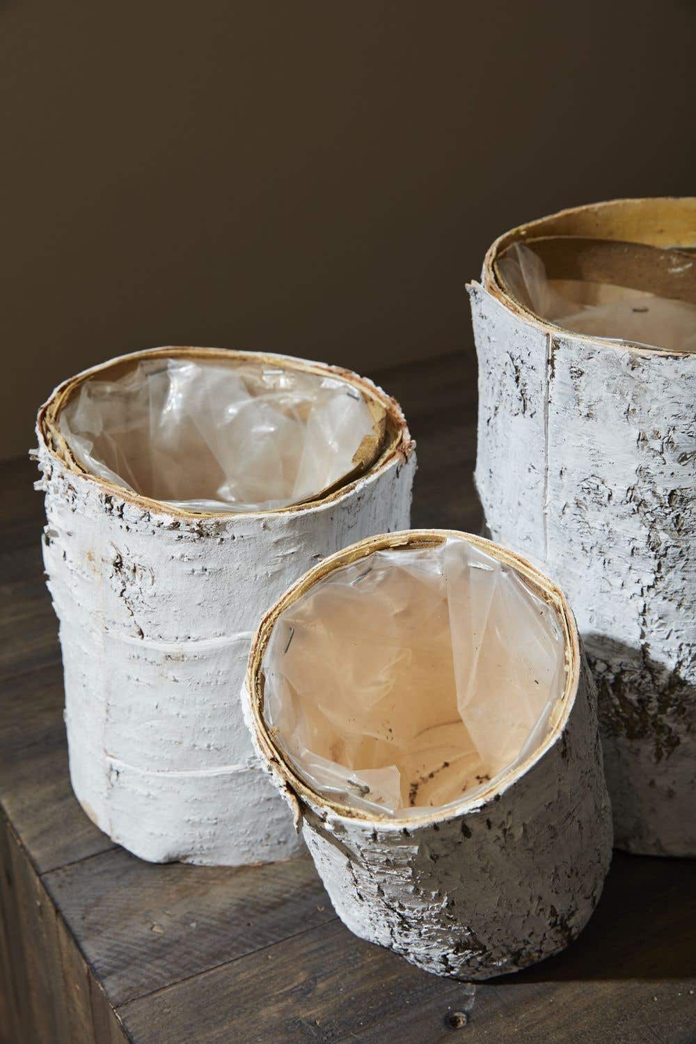 White Birch Pot