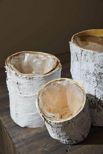 White Birch Pot