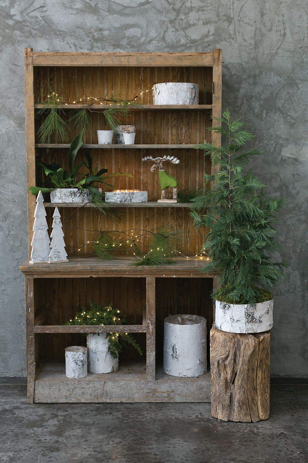 White Birch Pot
