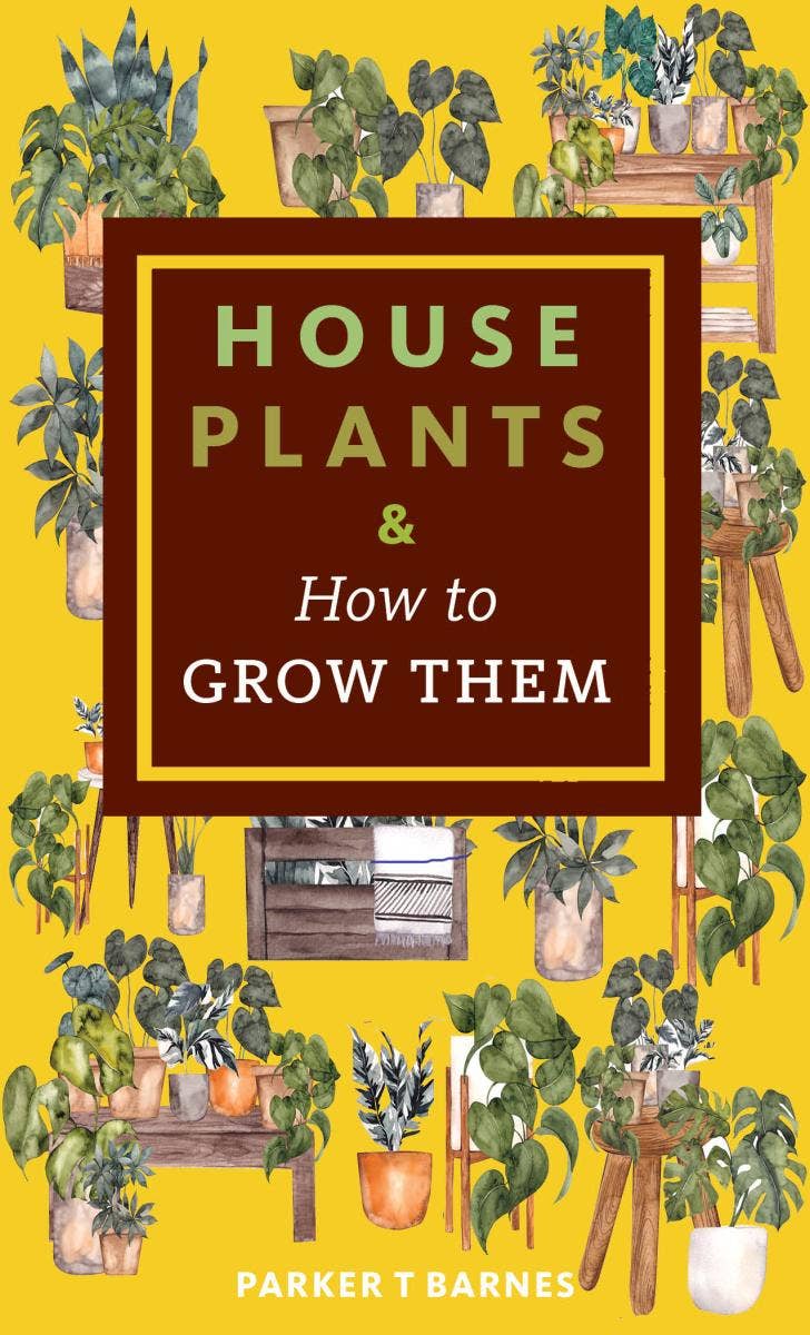 Houseplants &amp; How to Grow Them