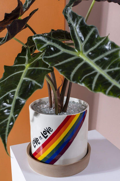 Love Is Love Pot
