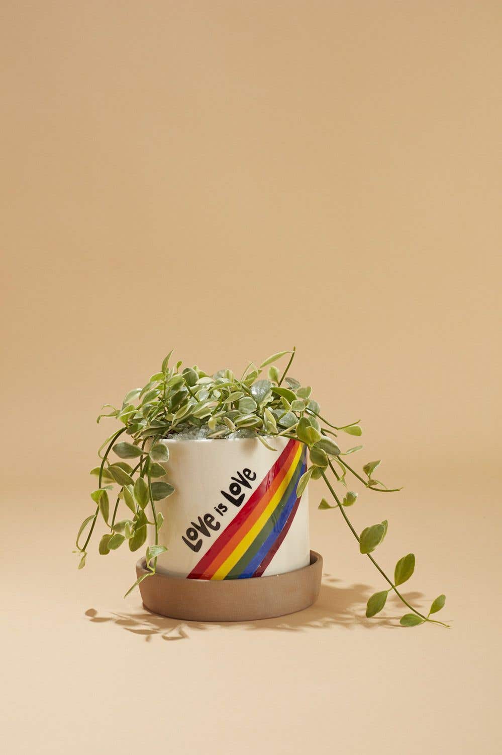 Love Is Love Pot
