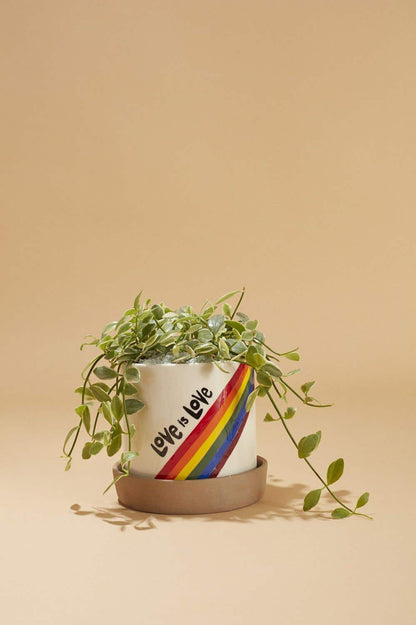 Love Is Love Pot