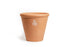 terra-cotta pot for live plants