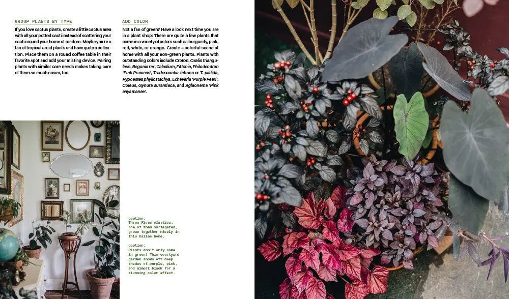 Plant Tribe - Living Happily Ever After with Plants