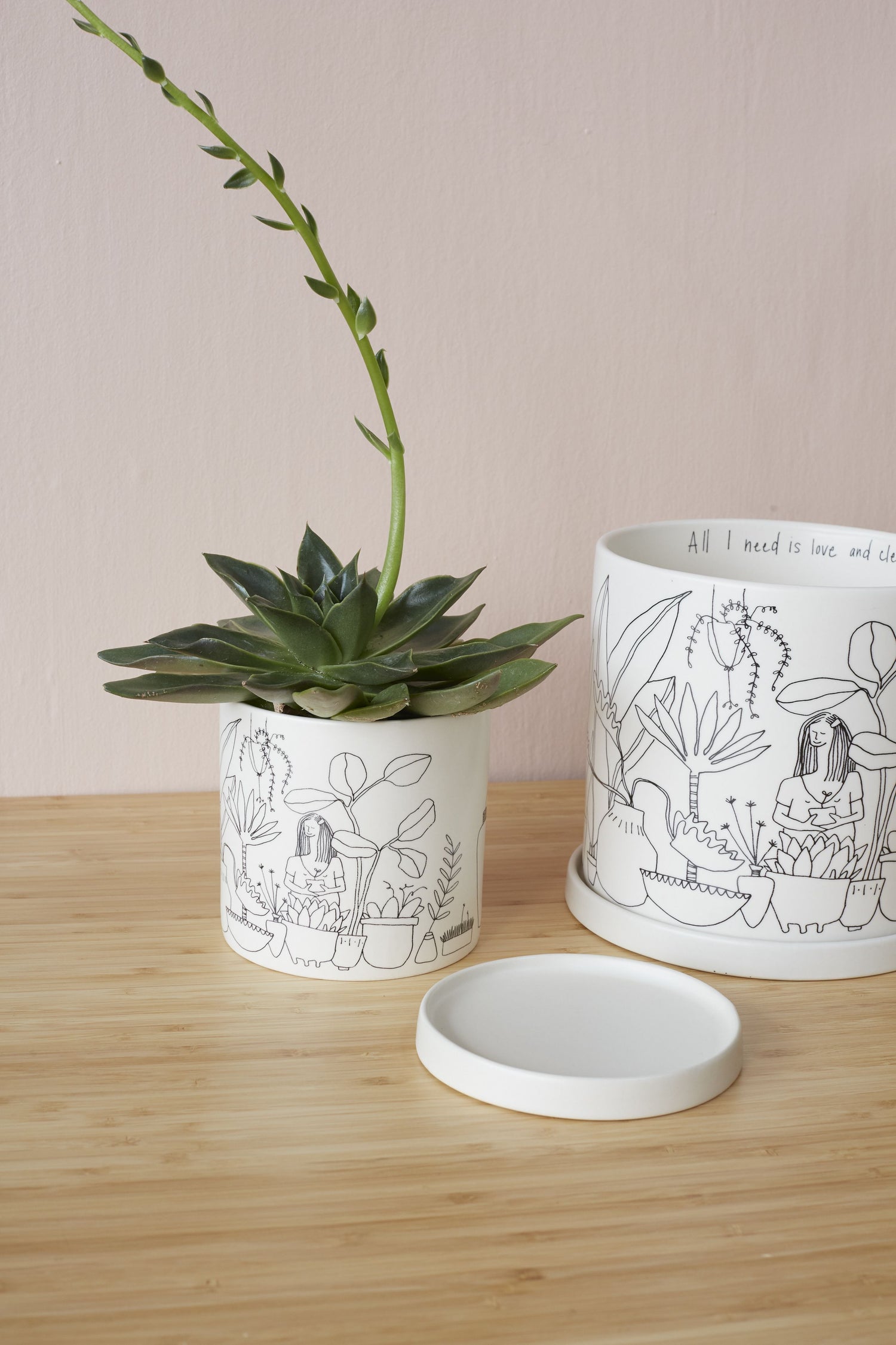 Plant Lady Pot